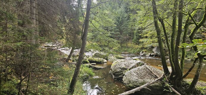 Fotografia z Berni_S na trase