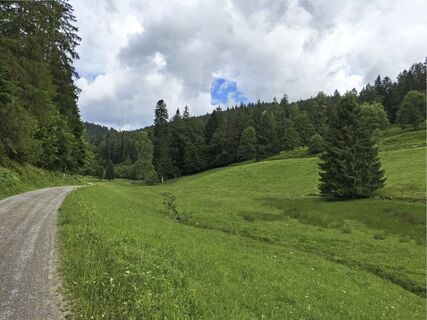 Radweg durchs Enztal