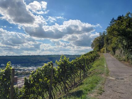 Foto von Stefan Schuhmann entlang der Tour
