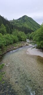 Fotografia z schoenfalter na trase
