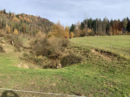 Fotografie de la Wilhelm Böning de-a lungul turului