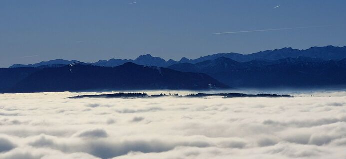 Фото с сайта Thomas Schekira во время экскурсии