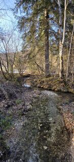 Fotografija s spletne strani Helmut Neuhold na poti