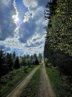 Foto von ElkeA entlang der Tour
