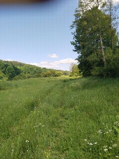 Foto von Max Max 3 entlang der Tour