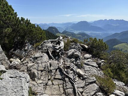 Foto von justasimpleguy entlang der Tour