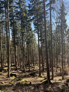 Zdjęcie z Martina Potzgruber wzdłuż trasy