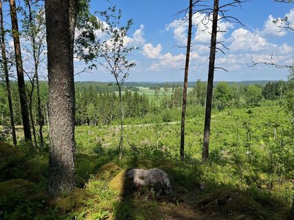 Landschaft entlang des Lohkarepuisto-Pfads