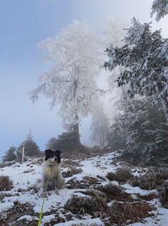 Foto von Daniela König 1 entlang der Tour