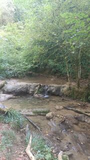 Fotografija s spletne strani bidure70 Mitche na poti