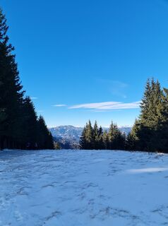 Foto von Tamara Schwarz 2 entlang der Tour
