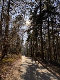 Foto från Gerhard Piglmann under resans gång