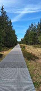 Fotografia z Hallunke Frank na trase