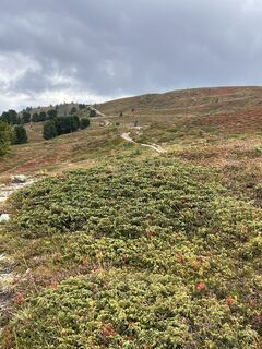 Foto från Karl Heinz Fick under resans gång