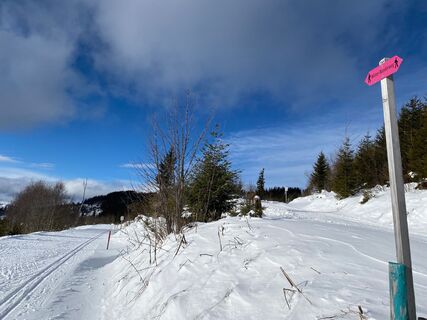 Winterwanderung Schwarzenbühl-Ottenleue