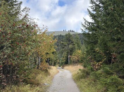 Foto von Franzl entlang der Tour