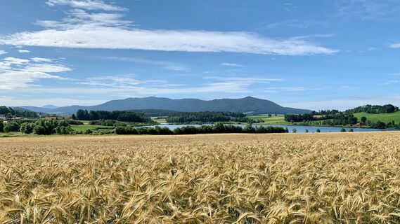 Herrlicher Blick zum Drachensee