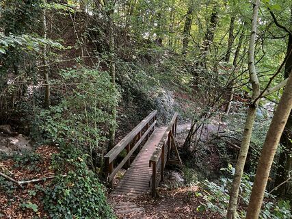 Fotografia z Martin Würsch na trase