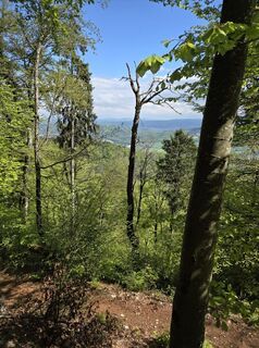 Fotografia z Jwemmenhove na trase