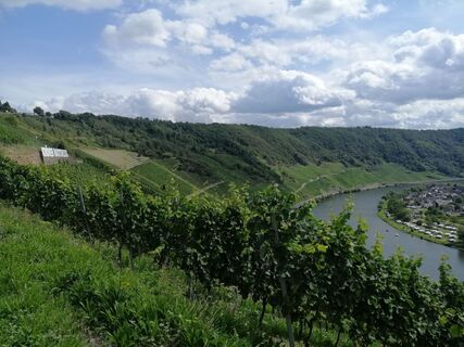 Fotografie de la Eifeleddy de-a lungul turului