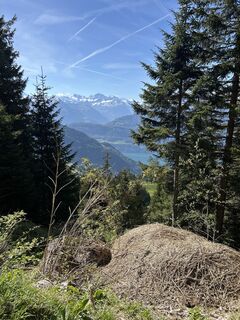 Fotografija s spletne strani Ewald Zweifel na poti