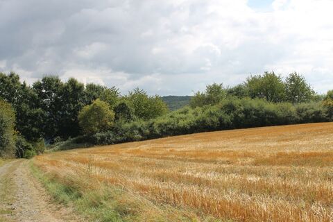 Abstieg nach Diedelkopf