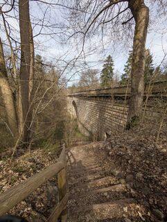 Foto de Speedy Gonzales a lo largo del recorrido