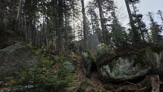 Photo de Stefan le long du parcours