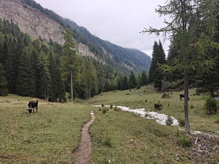 Fotografia z Radek Mikuta na trase