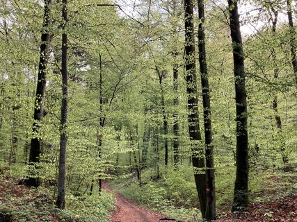 Foto von Meinrad Föger entlang der Tour