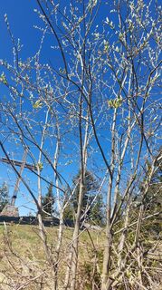 Foto von velisabeth entlang der Tour