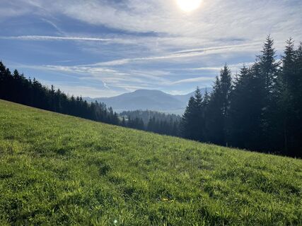 Fotografija s spletne strani Ralf Umminger na poti