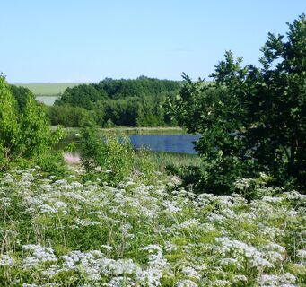 Stausee Triptis