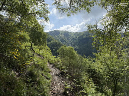 Alpenbogen A136 Monteviasco-Rivera