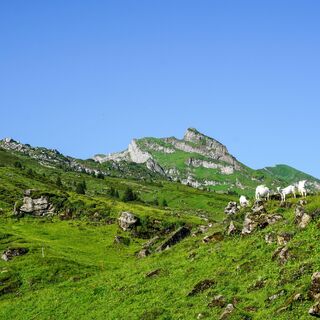 Toggenburger Höhenweg Etappe2 Blick Churfristen