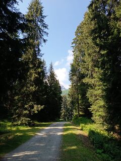 Fotografija s spletne strani Aner na poti