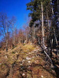 Foto von 3d63 ru^^n3r entlang der Tour