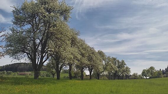 Foto von WilliSt entlang der Tour