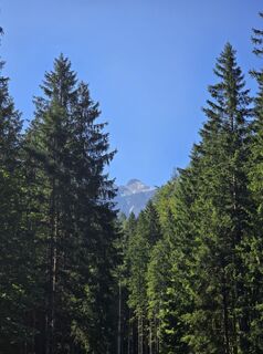 Fotografija s spletne strani Damir Habuš na poti