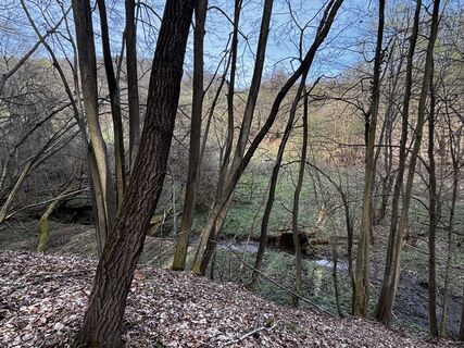 Foto de Reti Alicia a lo largo del recorrido