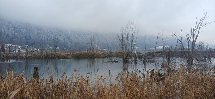 Foto von Thomas Michalek 1 entlang der Tour