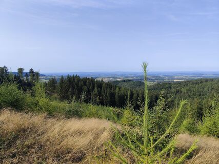 Foto fra Peter Huemer 3 undervejs på turen