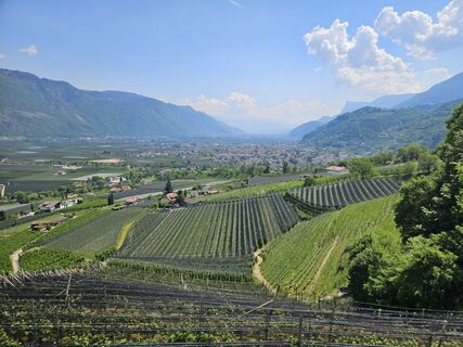 Photo de hannes.d le long du parcours