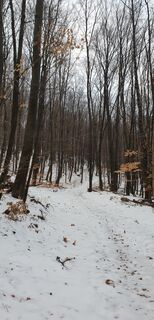 Fotografie z Georg B. Meier na trase