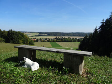 Auf dem Wirtsberg