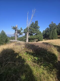 Foto de Bernhard Hohenbichler a lo largo del recorrido