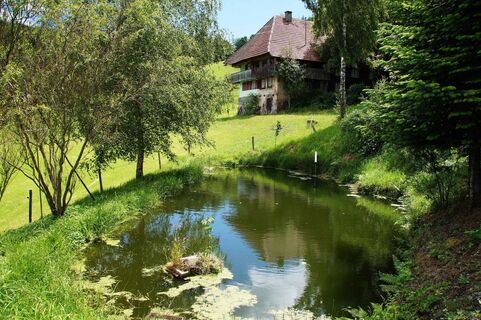 Bauernhof mit Brandweiher auf der Wanglig