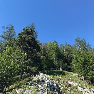 Gösser, Oststeiermark