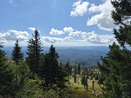Foto von Wollomator entlang der Tour