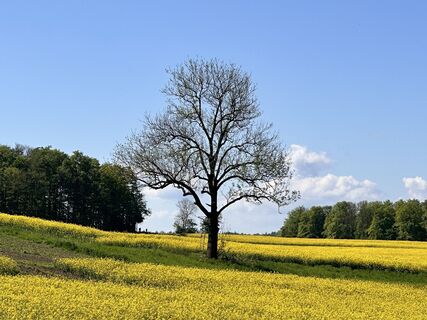 Foto von Norbert Herbig entlang der Tour